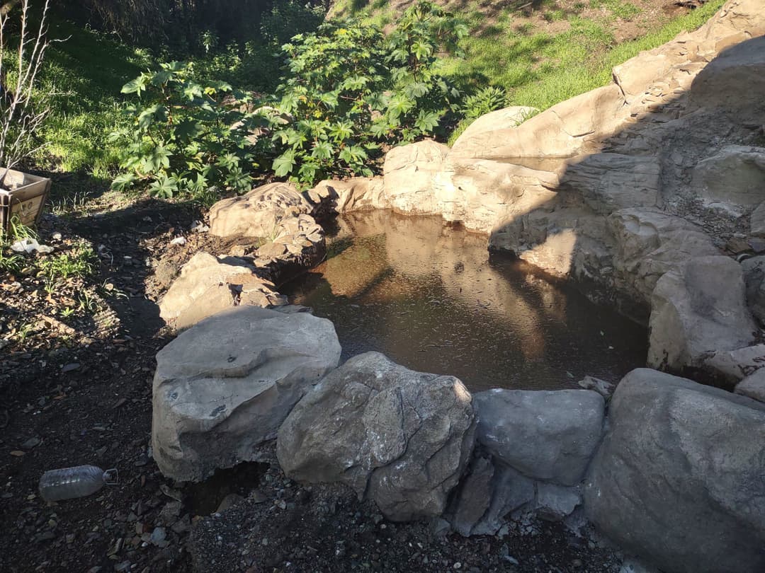 Natural stone pond surrounded by greenery, reflecting sunlight on water surface.