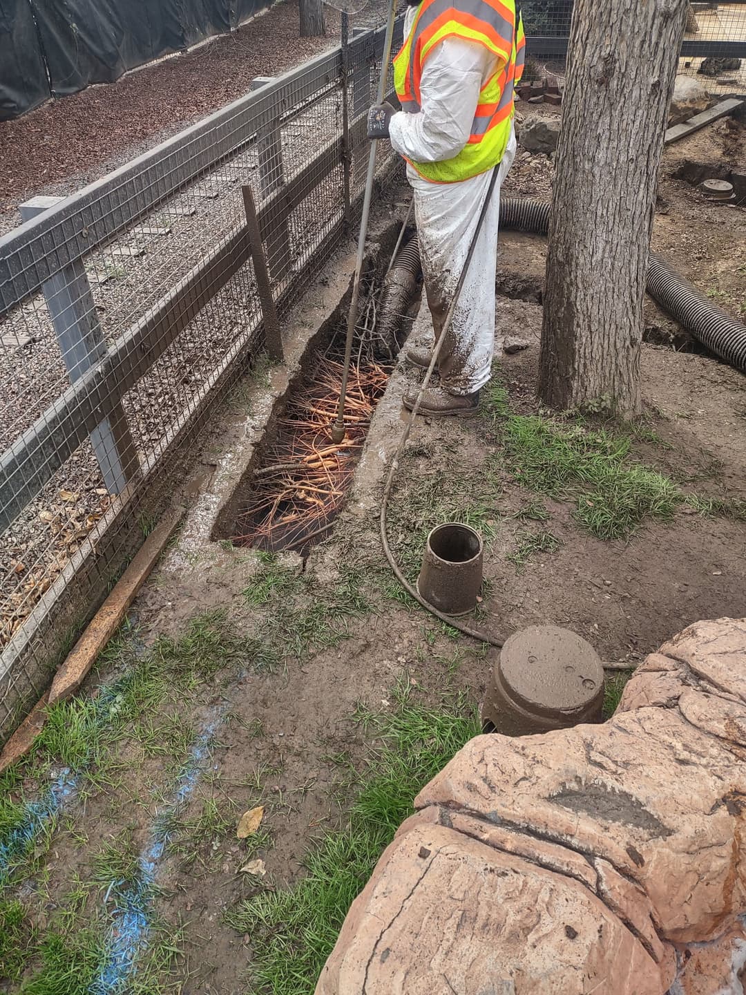 Worker in safety gear clearing a trench with exposed roots in a landscaped area.