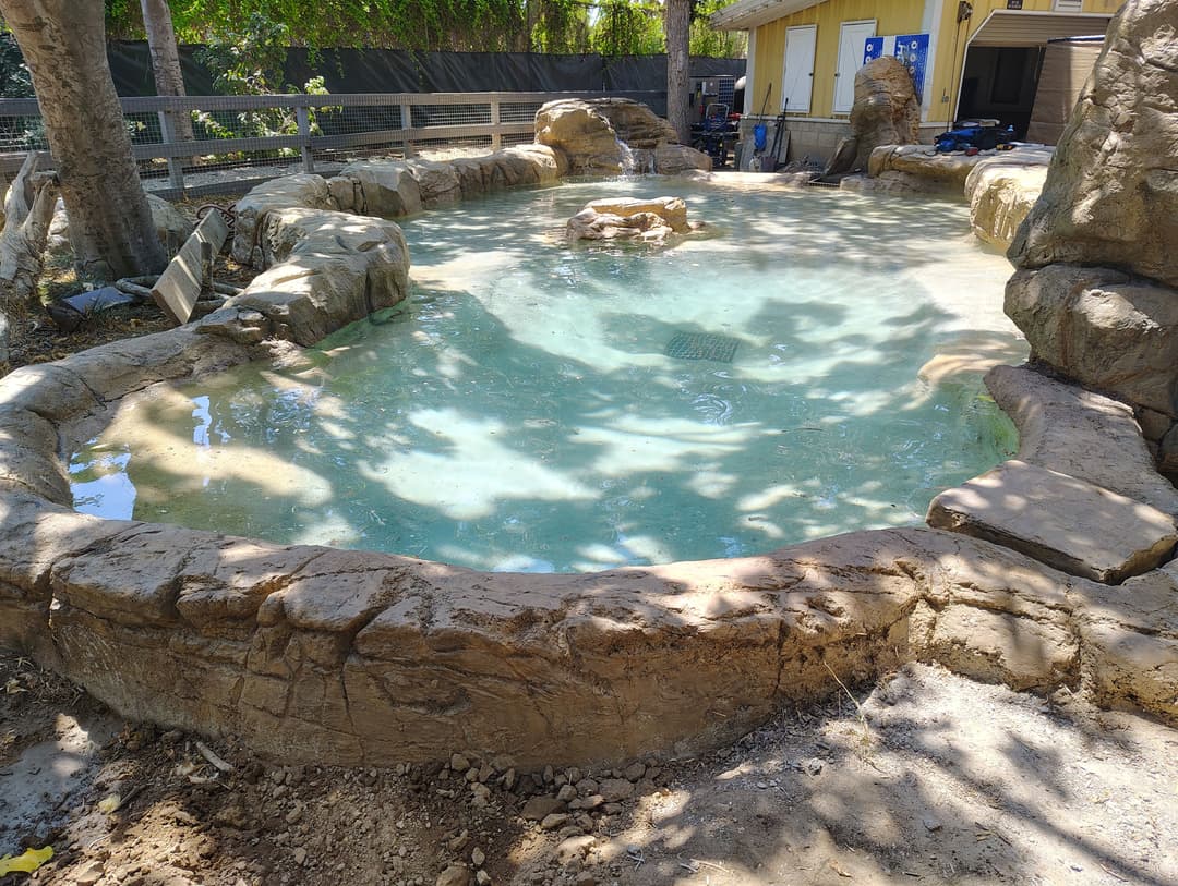 Natural stone pond surrounded by greenery, featuring clear water and rocky edges.