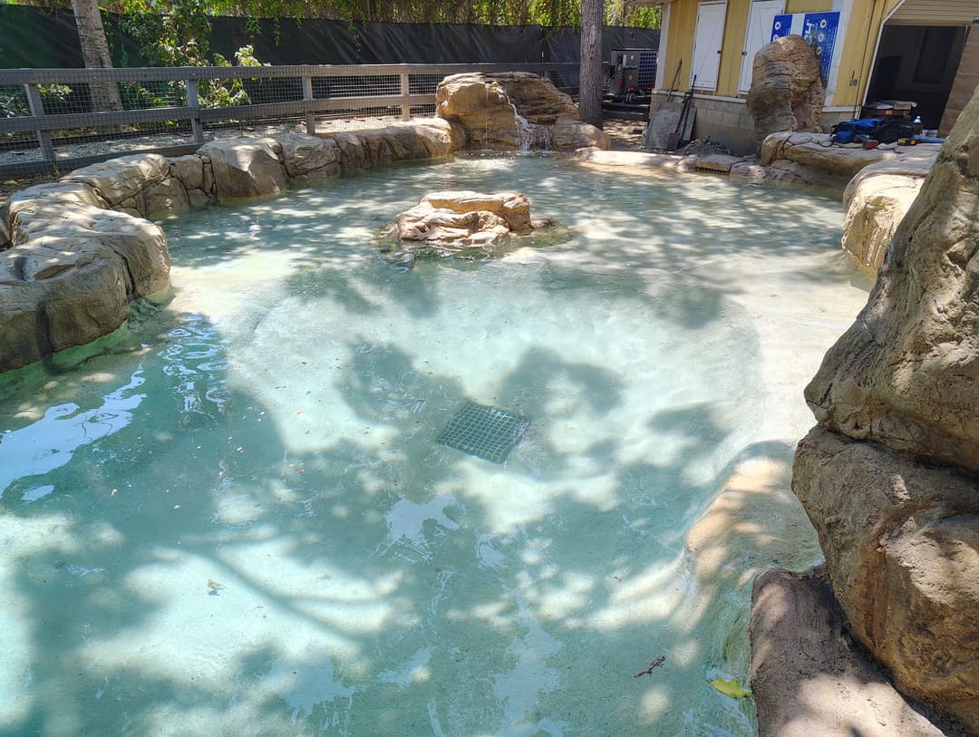 Shallow water pool with rocky edges and tree shadows in an outdoor setting.