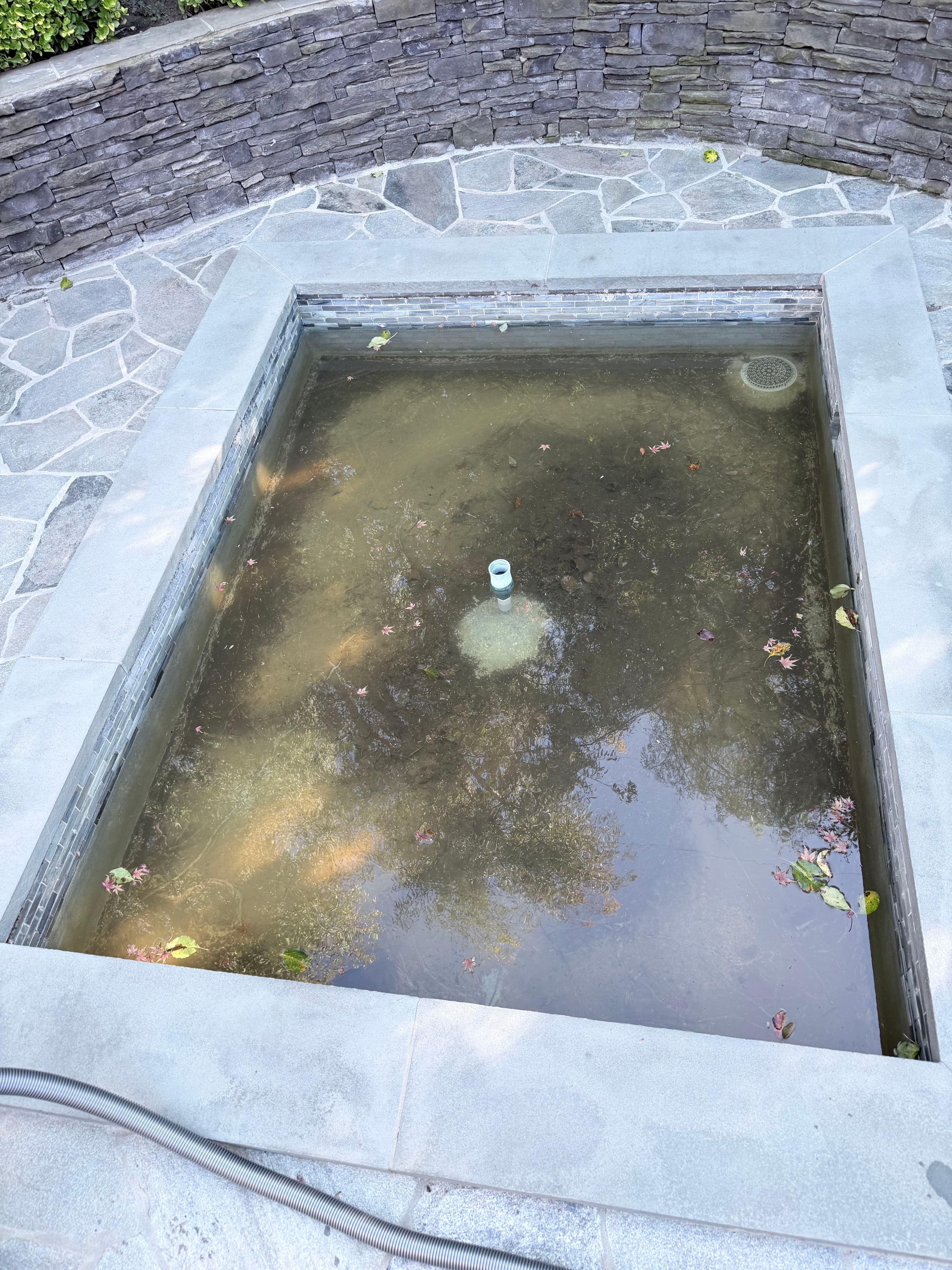 Dirty Stagnant water in a stone-lined rectangular pool surrounded by a patio.