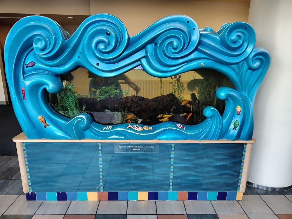 Expert Pump Repair for the Children's Hospital Aquarium in Hollywood image